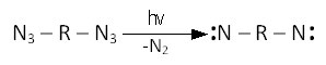 реакция превращения диазида в нитрен с выделением азота с последующим присоединением нитрена к смоле или каучуку путем образования диазиридиновых мостиков